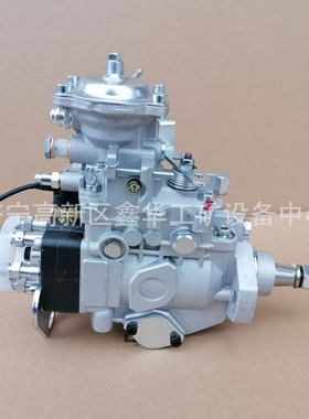 专业供应各类型号VE泵总成22100-1C201 221001C201