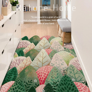 开门见山地垫入户进门丝圈脚垫家用防K滑免洗玄关地毯门垫定制