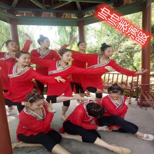 水袖 舞蹈练功服古典舞汉唐u基训服北舞服身韵服采薇舞表演服新款