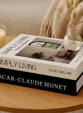 磁吸多功能可打开假书收纳盒摆件客厅桌面电视柜装饰品摄影道具书