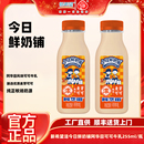 新希望今日鲜奶铺阿华田可可牛乳255ml 调制乳品 瓶低温奶