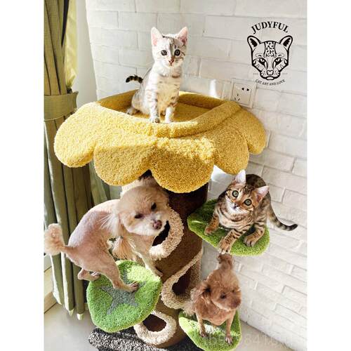 正品现Camily新货款2020墙洞角树屋猫爬架大树墙角树毛绒猫窝屋猫