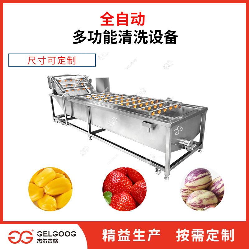 全自动草莓洗果净果机械不锈钢草莓连续清洗设备草莓清洗机
