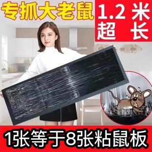 超强力粘鼠板大老鼠贴捕鼠老鼠神器克星透明隐形大号家用灭黏粘鼠