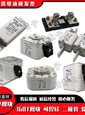 170M3514 170M3515 170M3516 170M3517 170M3518巴斯曼熔断器