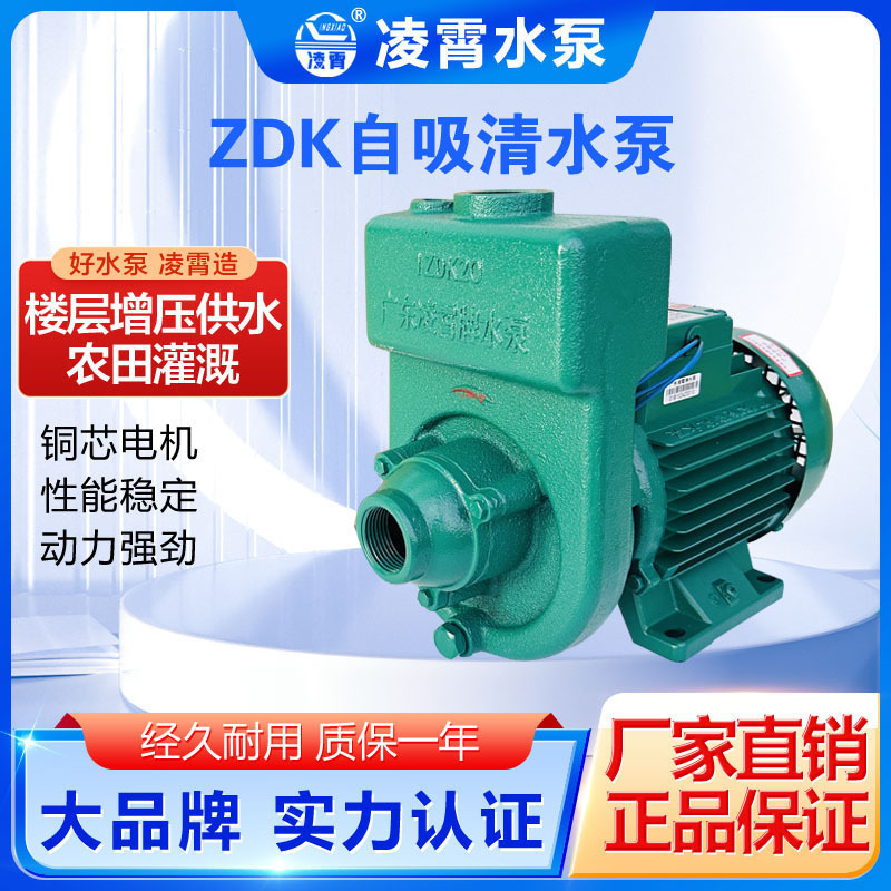 凌霄2ZDK-16 1ZDK-20 家用农用灌溉泵井水自来水高扬程泵