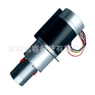 卧式 微型增压直流液体化工泵 不锈钢小型齿轮泵 微型齿轮泵 便携式