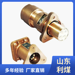 LBD1 1140矿用隔爆型低压电缆连接器 500