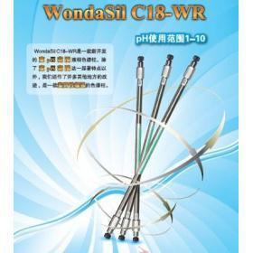 岛津WondaSil C18-WR 5um色谱柱耗材实验室配件
