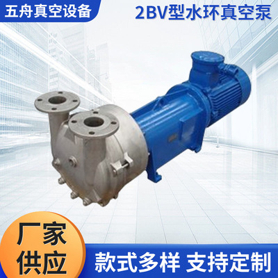 2BV61水环真空泵