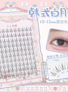 根根分明「韩式白月光」韩系假睫毛自然女团单眼皮ace超软 bb15