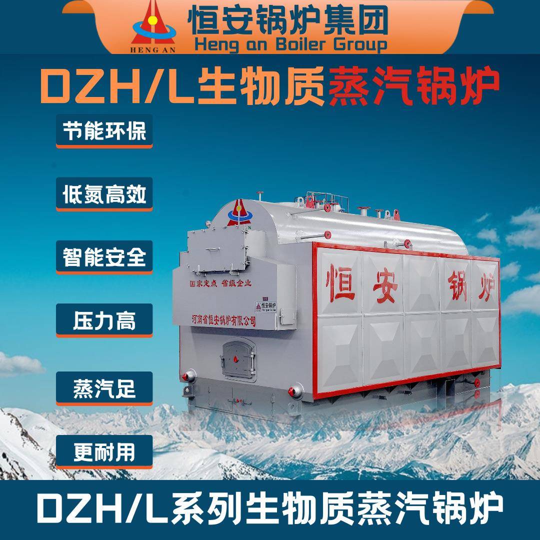 大型6吨生物质蒸汽锅炉10吨燃煤蒸汽锅炉节能环保燃煤蒸汽锅炉
