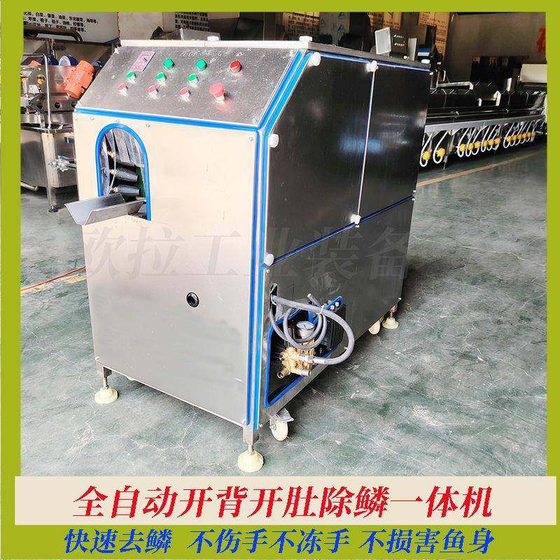 黑鱼杀鱼机不锈商用杀鱼机械全自动开背除鳞设备,清洗/食品/商业设备,其他食品加工设备,淘宝优惠券,粉丝福利购,淘宝优惠卷
