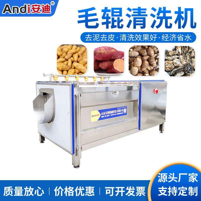 现货直销马铃薯土豆脱皮清洗机毛刷式生姜去泥机洋葱去皮机设备