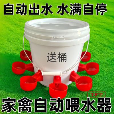 养鸡用自动饮水器鸡鸭鹅饮水碗