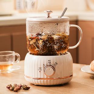养生壶小型办公室2024新款 多功能mini养生杯家用煮茶烧水壶花茶壶