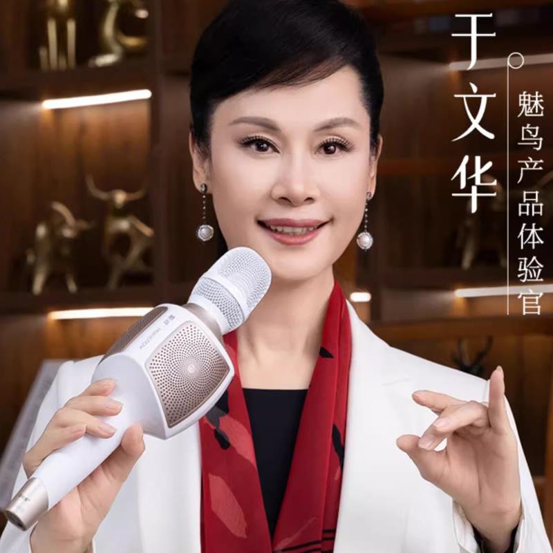 魅鸟话筒音响一体麦克风巨声音响麦声卡U段蓝牙无线外放pro录直播