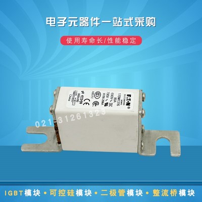 快速熔断器保险丝170M1316 1317 1318 1319 1320 1321 1322 1358