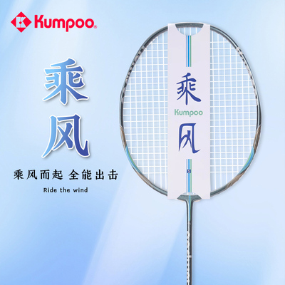 熏风羽毛球拍乘风碳素纤维