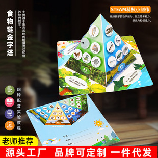 食物链金字塔diy科技小制作科学实验 儿童手工学生生物材料包