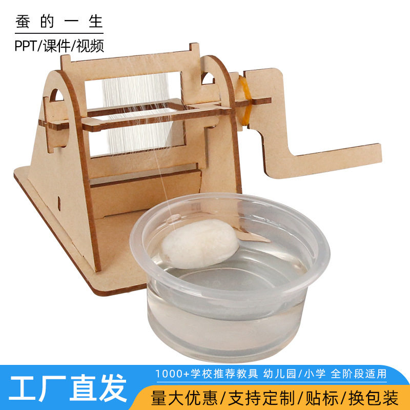 科技小制作diy科学实验蚕的一