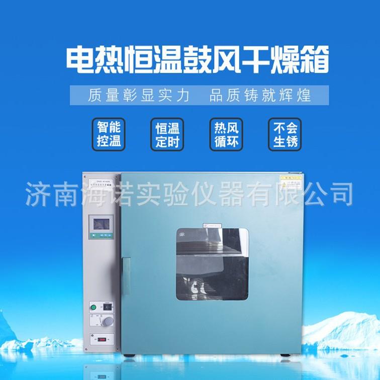 电热恒温鼓风干燥箱工业实验室商用烘干箱家用大小型药材食品烘箱