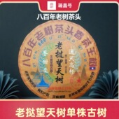 老挝丰沙里望天树24年高杆古树茶生茶357克饼茶老树茶高端原生态