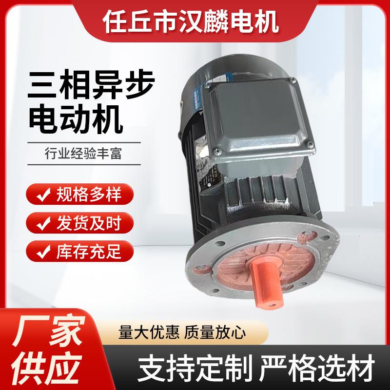 YE3/YE4系列三相异步电动机YE3-100L2-4立式卧式三相异步电机马达