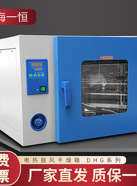 上海一恒DHG-9013A/9023A/9053A/9123A/9203A 电热恒温鼓风干燥箱