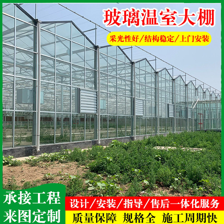 玻璃大棚厂家 镀锌钢架连栋玻璃大棚 种植蔬菜花卉大棚智能展览棚,模玩/动漫/周边/娃圈三坑/桌游,文化/体育周边,淘宝优惠券,粉丝福利购,淘宝优惠卷