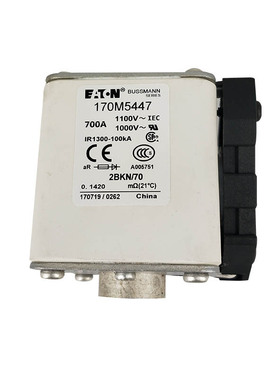 170M6910 170M6918 170M6919 170M6920进口低压熔断器 保险丝