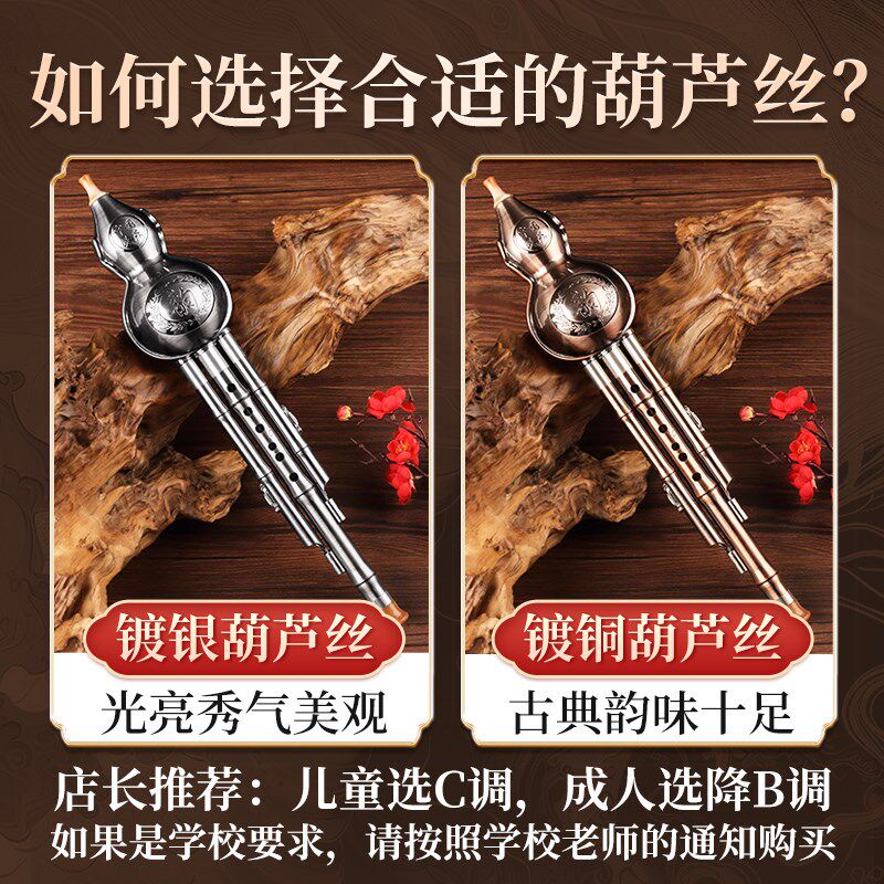 葫芦丝乐器小学生儿童专用sc调成人初学降b镀银镀铜防摔七孔胡芦