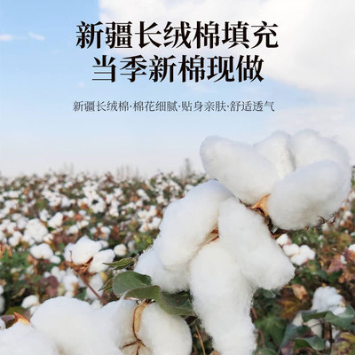 新疆长绒棉被纯棉花被棉絮垫絮棉胎被F芯被子铺底铺床冬天加厚10