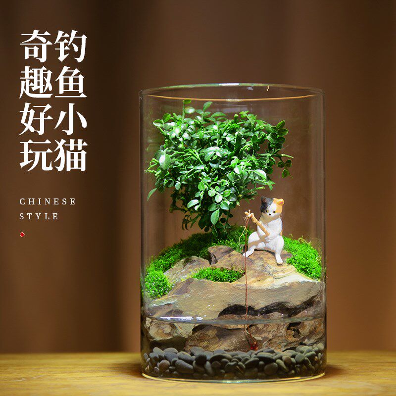 创意微景观办公室桌面绿植盆栽耐养E免打理生态瓶可养鱼缸造景盆
