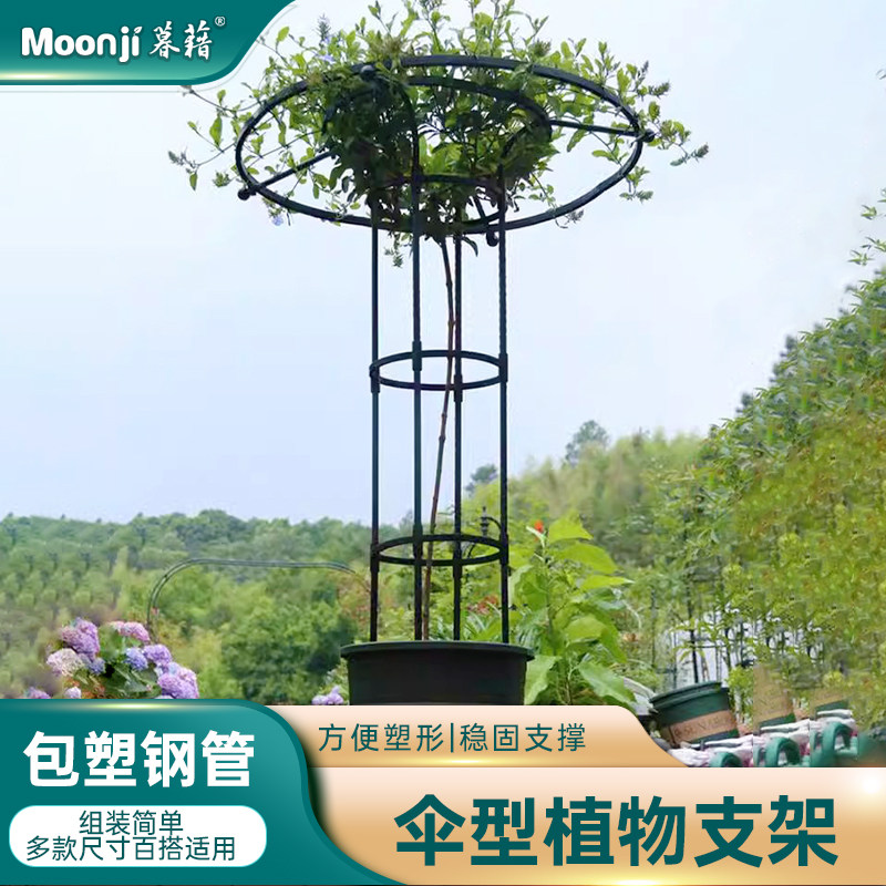 园艺伞型组装花支架爬藤架户外月季C铁线莲蔷薇蘑菇形攀爬架支伸