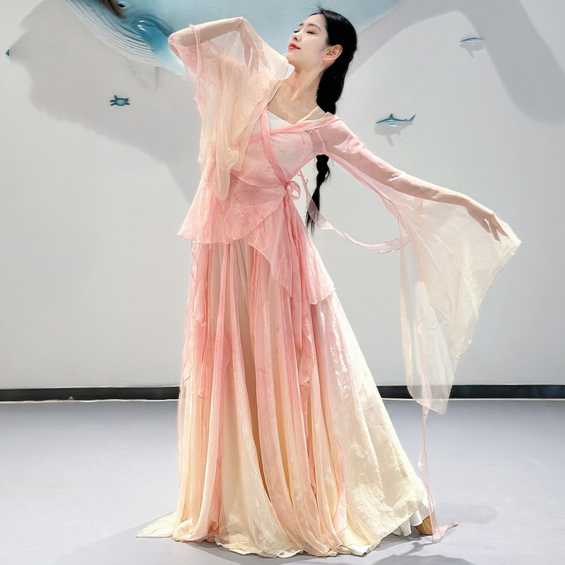 古典舞蹈演出g练功服女2024款中国舞古风飘逸仙气纱衣大裙摆古典