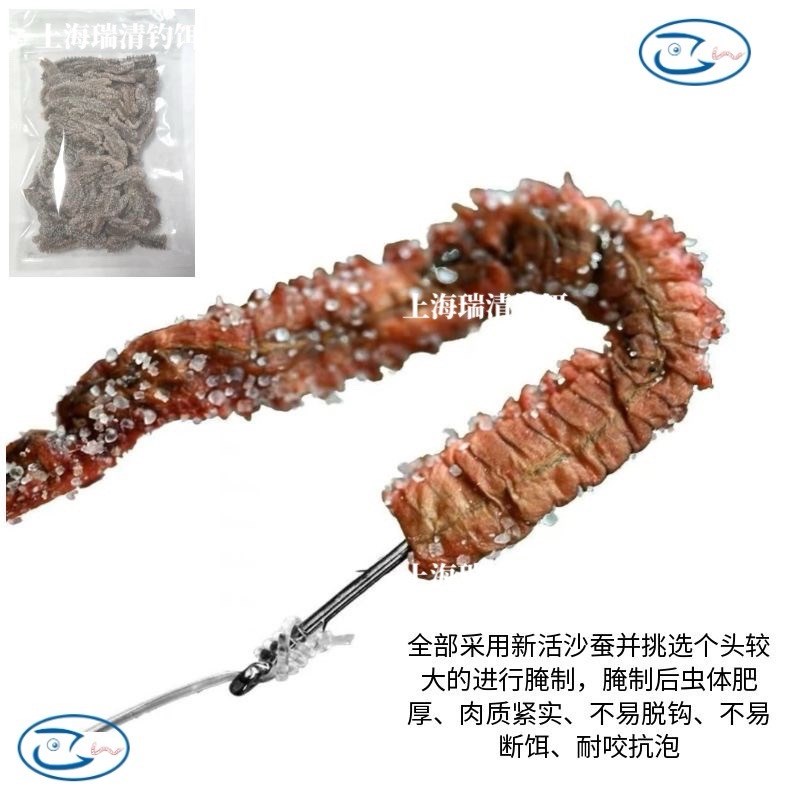 鲜活沙蚕盐沙蚕活沙蚕干海蚯C蚓海蚂蟥海蜈蚣海钓鱼饵包邮
