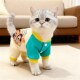 小猫咪衣服秋冬保暖可爱布偶英短银渐层防掉毛宠物V狗狗家居四脚