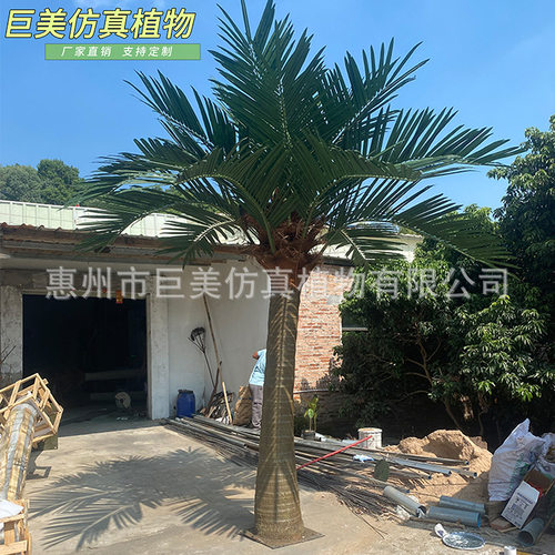 室外大型仿真椰子树 商场酒店沙滩装饰玻璃钢椰树 园林绿化椰子树