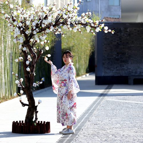 仿真玉兰树室内装饰假玉兰舞台道具商场布景玉兰树玉兰花厂家直销