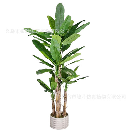 3.5米芭蕉树仿真大型假绿植盆栽室内装饰落地盆景盆栽橱窗香蕉树
