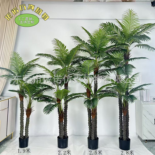 仿真美丽针葵椰子树 室内假植物散尾葵针葵盆栽 阳台客厅装饰盆栽