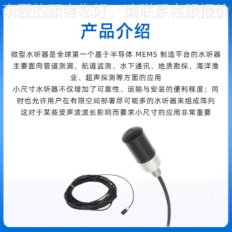 漏水点测仪查地自来水地下暗度管高检精漏水探漏S/NE-S水暖听器
