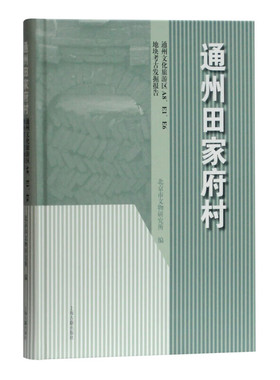 【官方正版】通州田家府村—通州文化旅游区A8、E1、E6地块考古发掘报告 上海古籍出版社