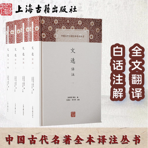 【官方正品】文选译注(全四册)中国古代名著全本译注丛书萧统编；张葆全, 胡大雷主编 硬壳精装 直译 古代文学总集 上海古籍出版社