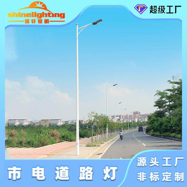 市电路灯杆双挑臂灯杆定制9米10米12米路灯杆led市电路灯