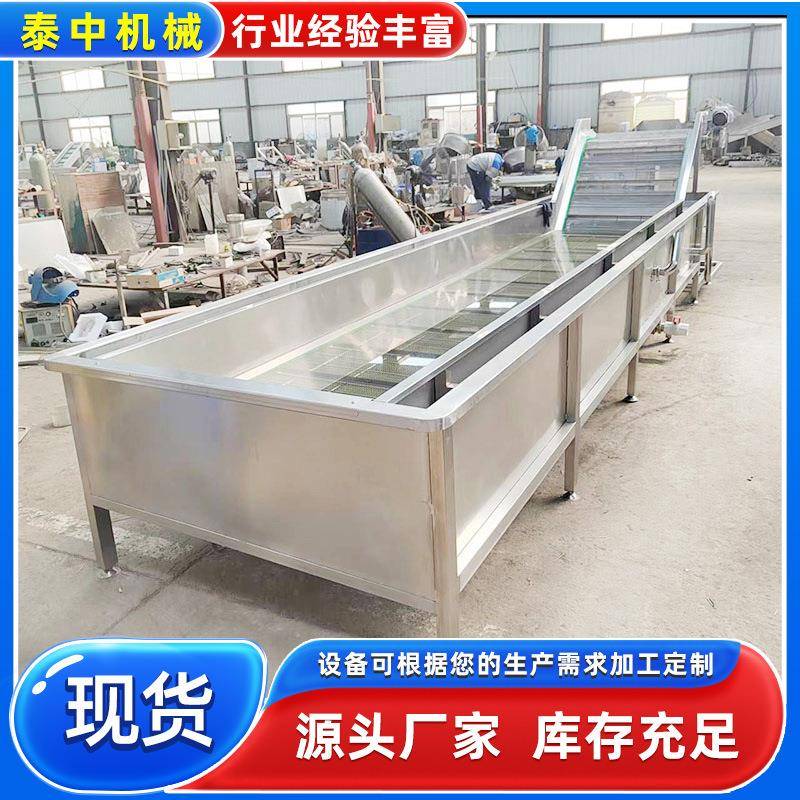 气泡式西红柿清洗机百合蒲公英净菜加工设备东北蕨菜清洗机设备
