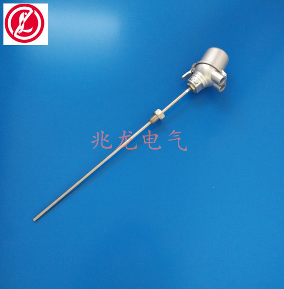 WRNK2-2415双支电厂用热电偶 针型热电偶工业用温度计