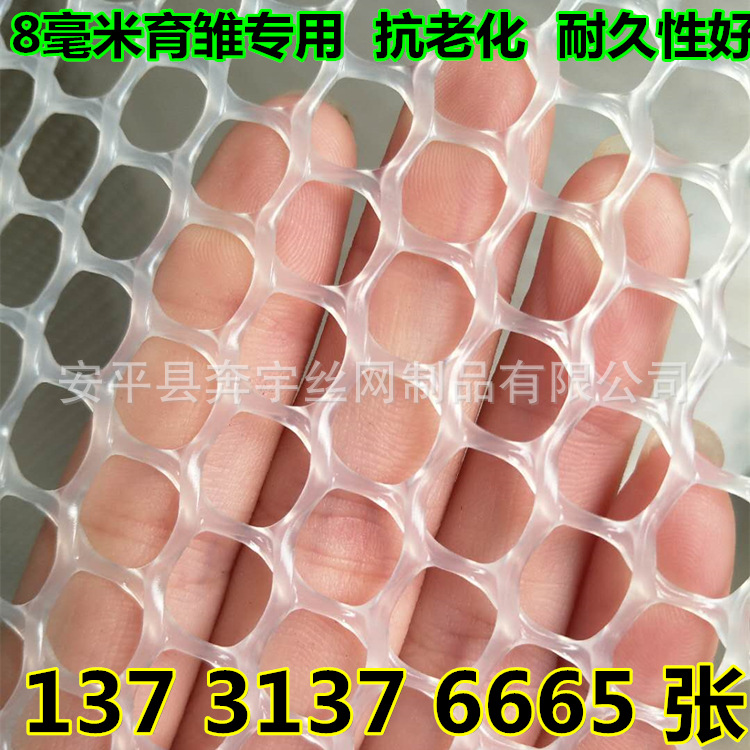 厂家销售养鸡用白色塑料网 鸡笼用白色塑料网片 规格齐全