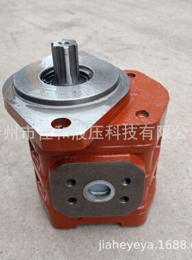 济南齿轮泵扒渣机CBGJ1045主油泵   CBGJ1045高压液压泵
